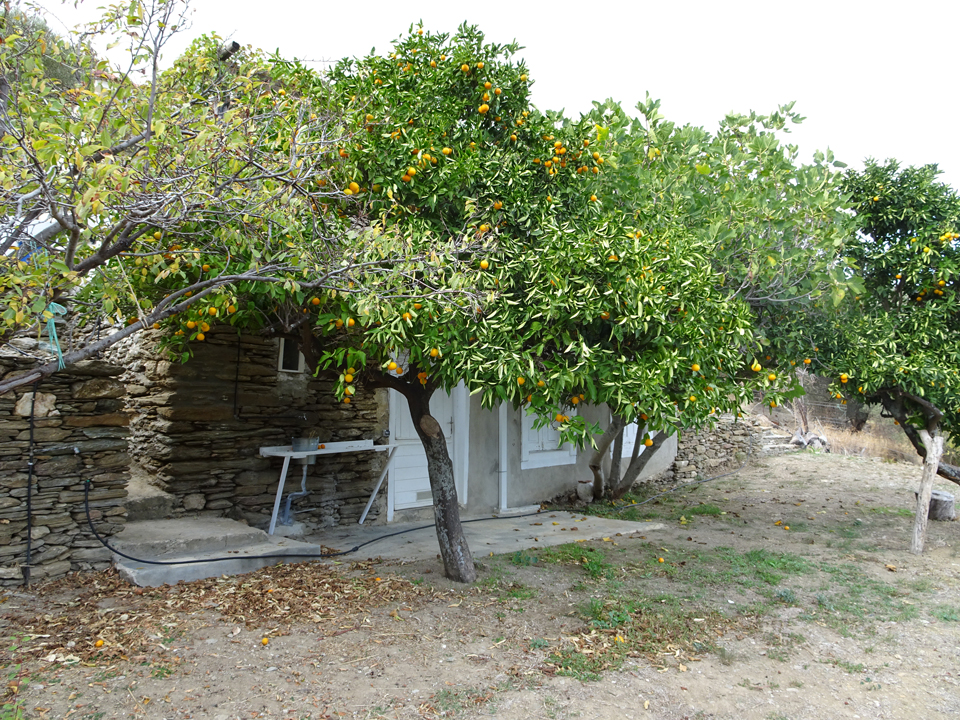 Les Maisons de Claire à Andros dans les Cyclades - La Maison du BERGER situé sous la Maison