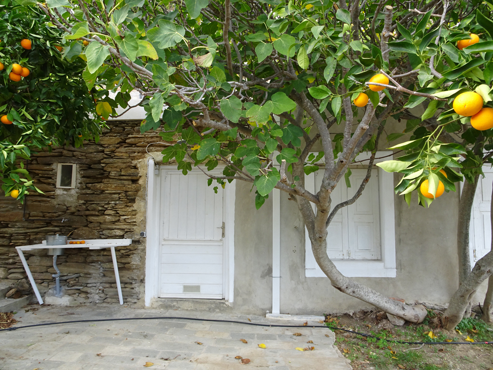 Les Maisons de Claire à Andros dans les Cyclades - La Maison du BERGER situé sous la Maison